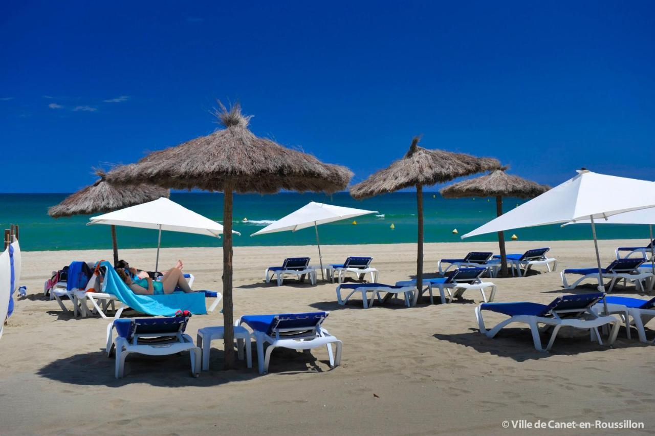 شقة "Dream" Magnifique Vue Mer, Terrasse, Parking, Le Reve كانيه المظهر الخارجي الصورة